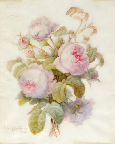 Bunch of Centifolio Roses, 1832 by Olympe Arson